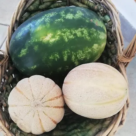 Vakantiehuis Holiday Riverside