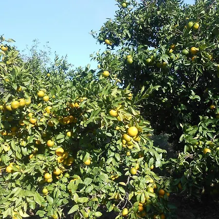 Holiday Riverside * Komin (Dubrovnik-Neretva)