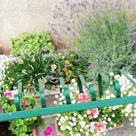 Holiday Riverside Dom wakacyjny Komin (Dubrovnik-Neretva)